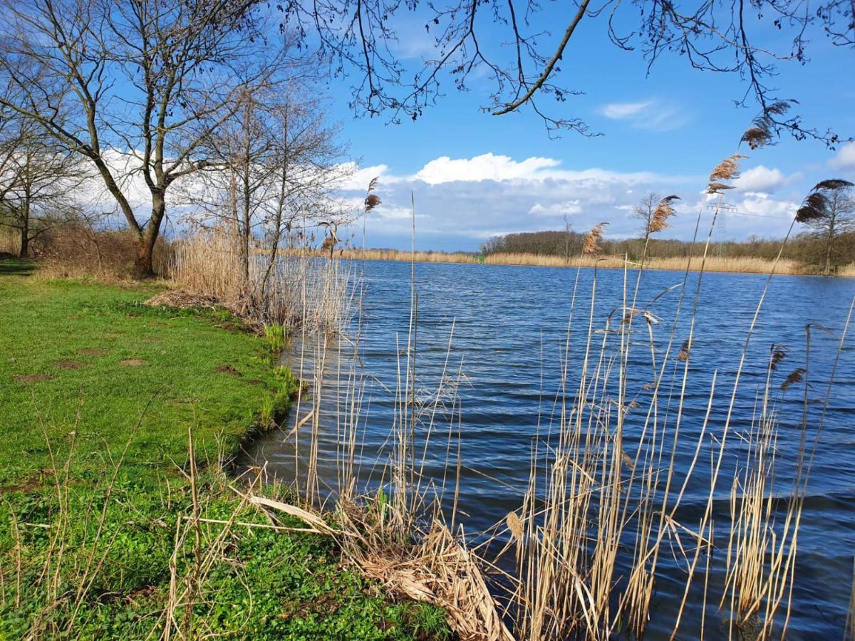 Ferienhaus Undine Mit E-Auto-Ladestation Oranienbaum-Woerlitz Exterior foto